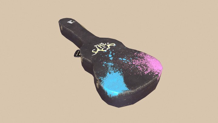 Guitar Case