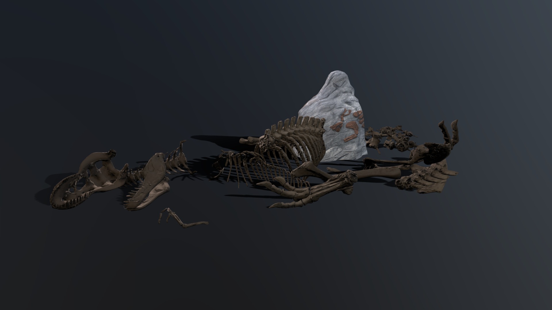 T Rex Rotunda Skeleton Test 001 3d Model By Paulelderdesign E66808c Sketchfab 0619