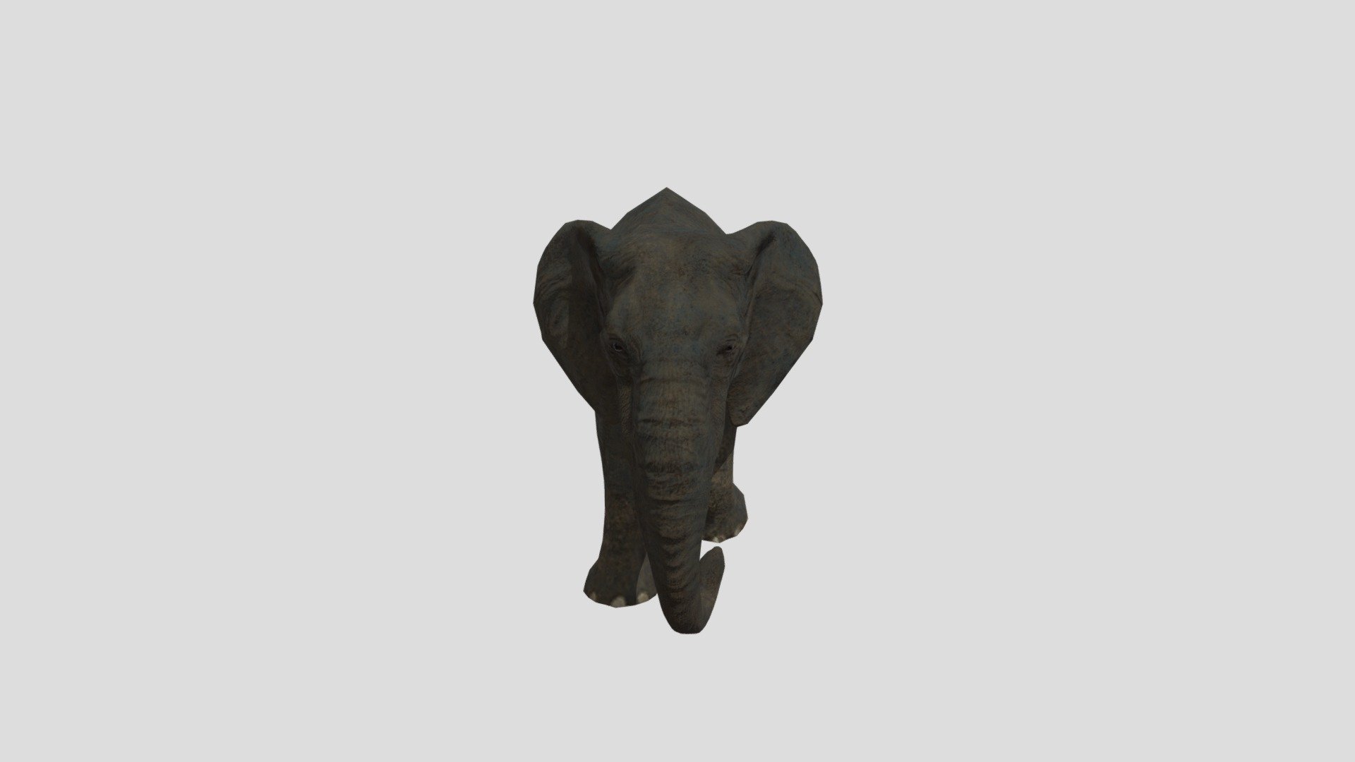 Female- Elephant