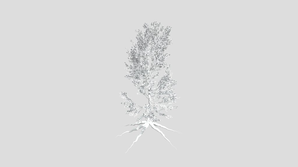 Tree 01