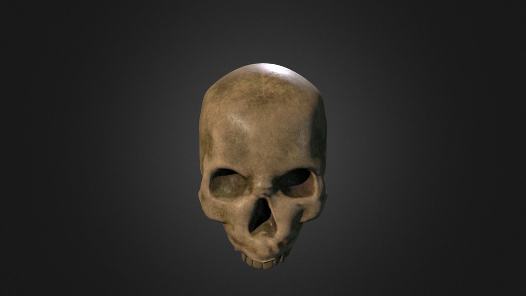 Skull