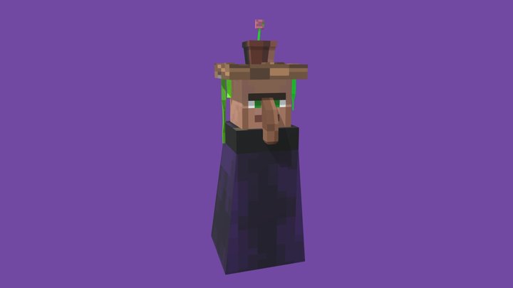 Minecraft Warlock 3D Model