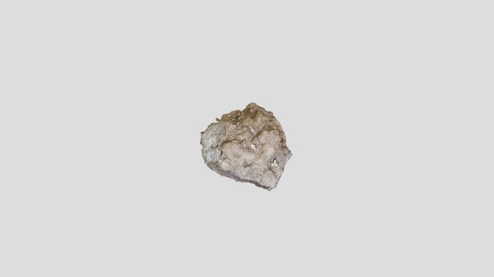 Rock00 3D Model