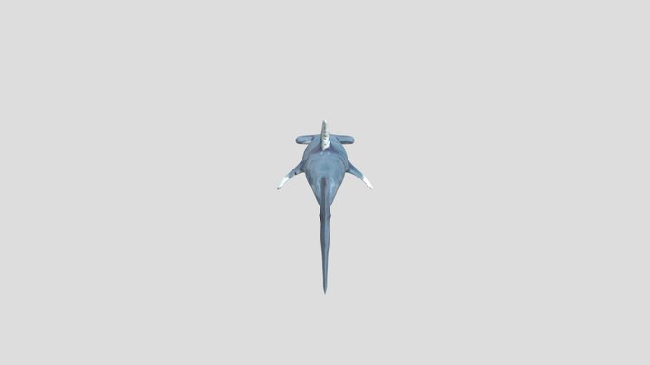 Shark_low 3D Model
