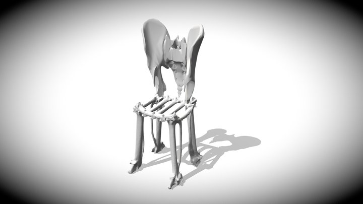 Bone Chair 3D Model