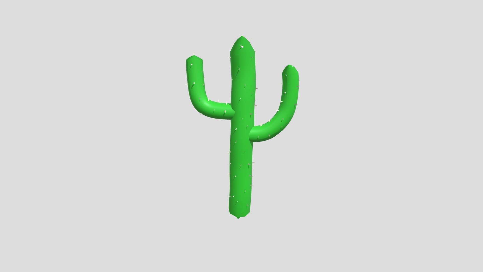 Saguaro Cactus