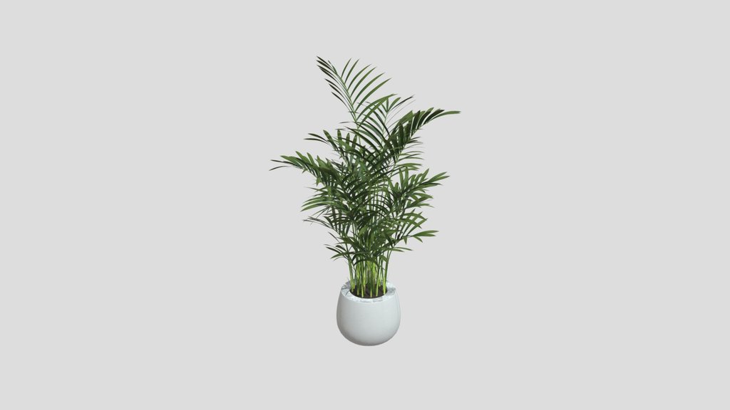 Parlor_Palm_Pot_c6199950-71b2-4c10-8d29-2f8972ea