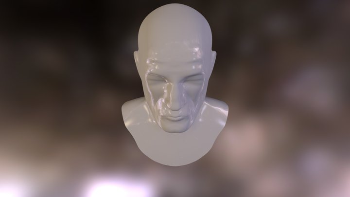simple head mesh 3D Model