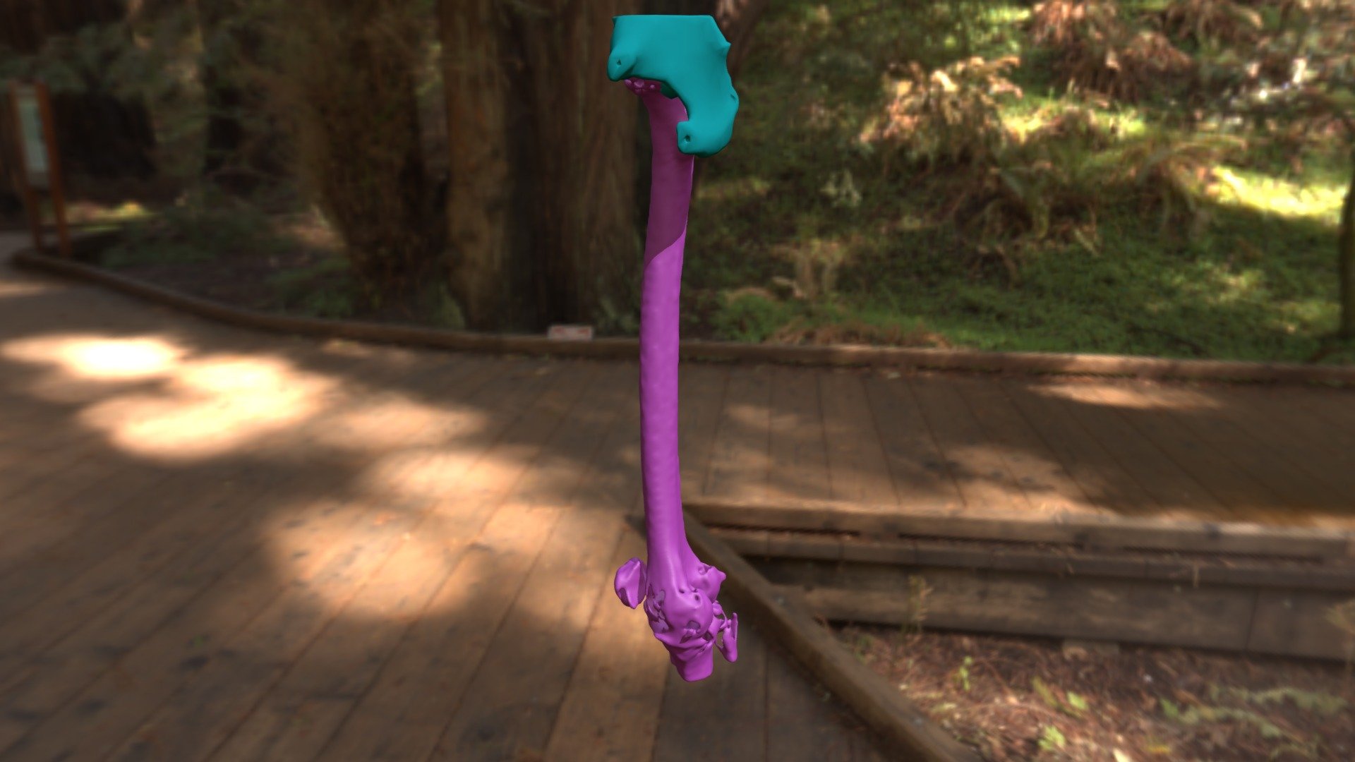 Femur