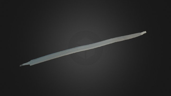 Haukilan miekka (KM 41247:125) / Haukila Sword 3D Model