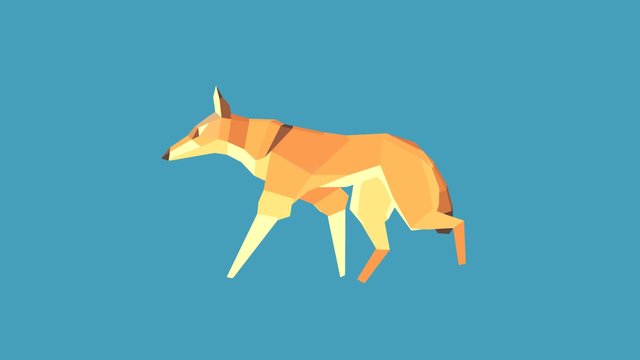 Coyote 3D Model