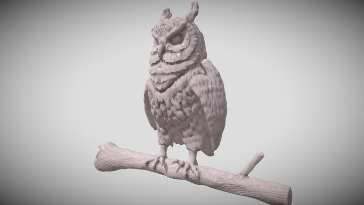 Owl Sculpt 3D Model