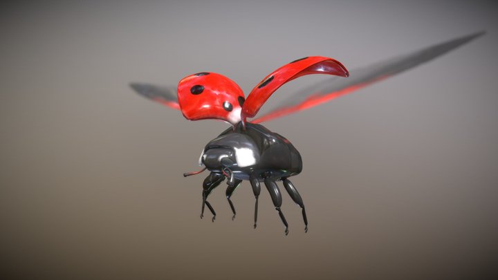 Ladybug  - Game model 3D Model