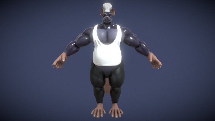 Bara Rat errores arreglado y encontrado 3D Model