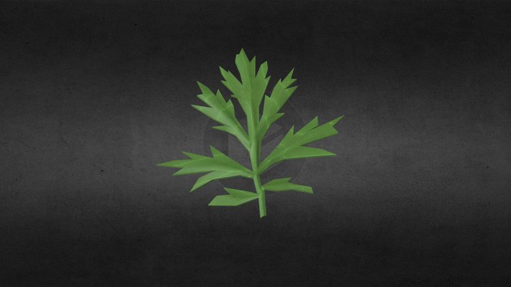 Mugwort Ingredient 3D Model