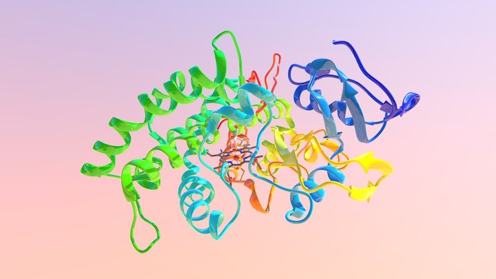 Model of Cytochrome P450 / Oxygen / Drug Complex 3D Model
