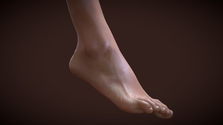 Woman_Foot 01(PBR texture) 3D Model