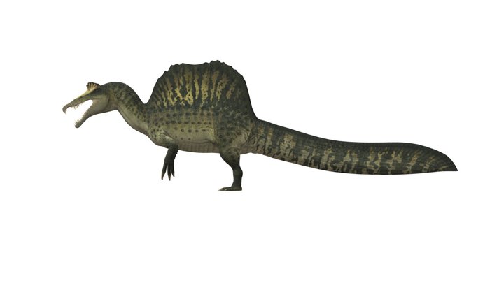 Prehistoric Kingdom - Spinosaurus Sobek 3D Model