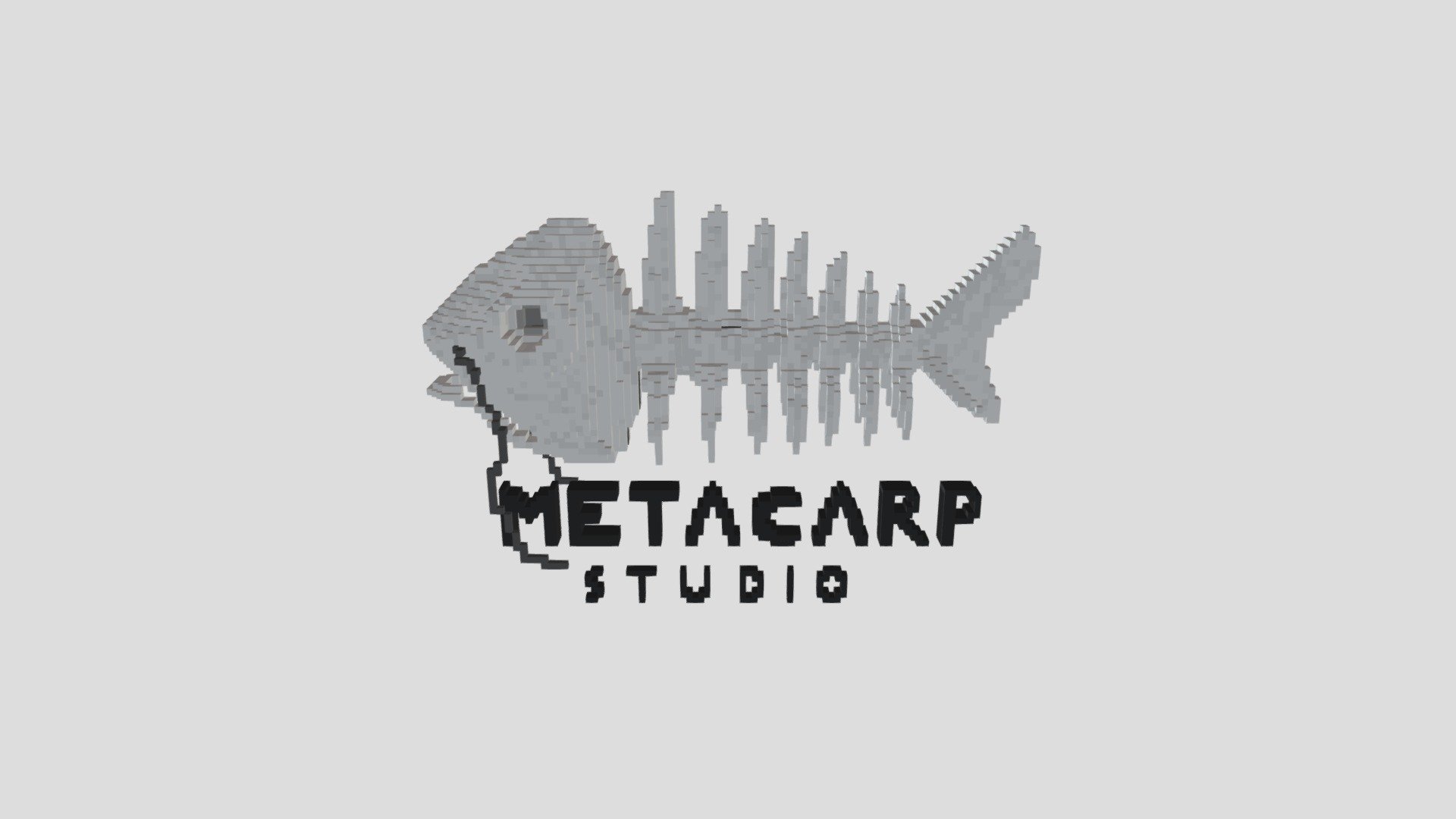 Metacarp Studio 3DLOGOv2