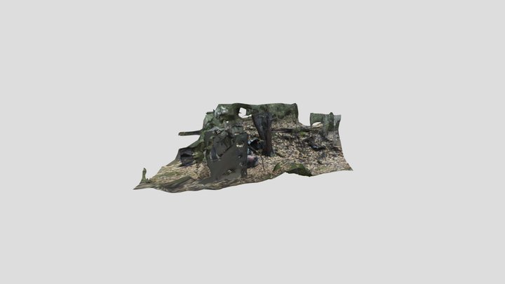 Old abandoned rusted decayed car wreck in forest 3D Model