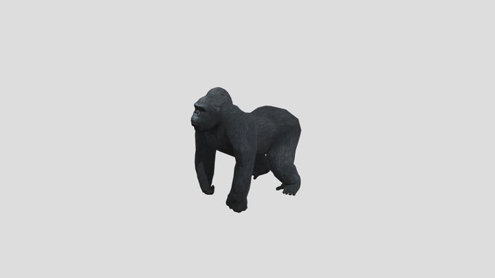 Gorilla 3D Model