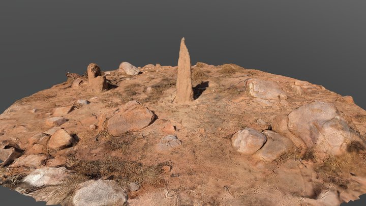 Australian Termite Mounds 3D Model