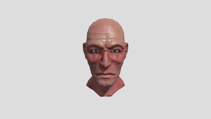 FINAL HEAD model 3D Model