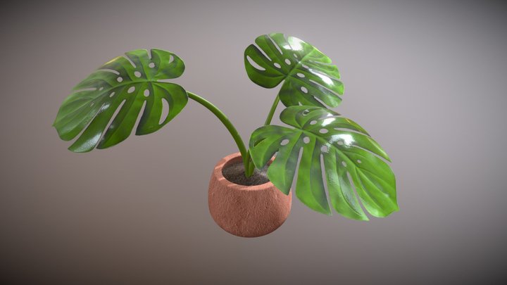 Plant01 3D Model