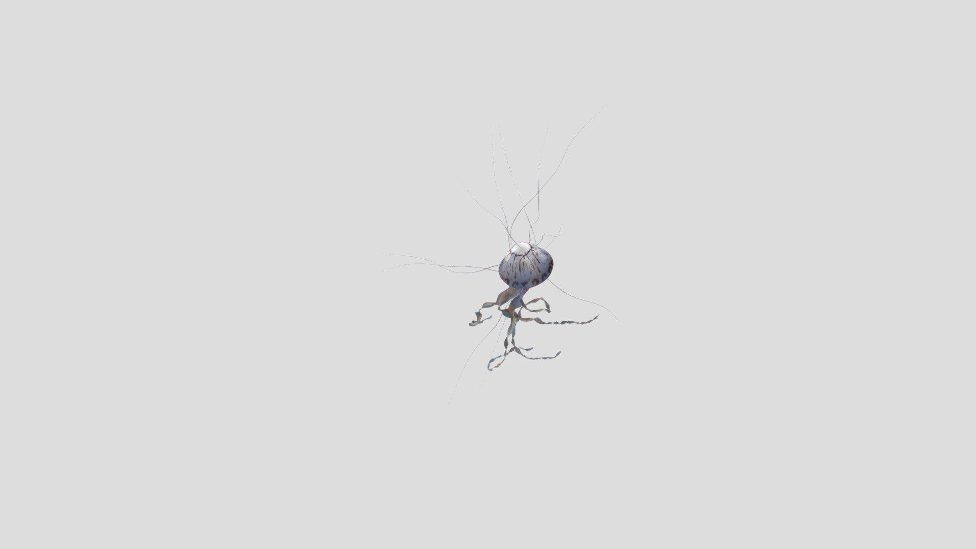 Test2