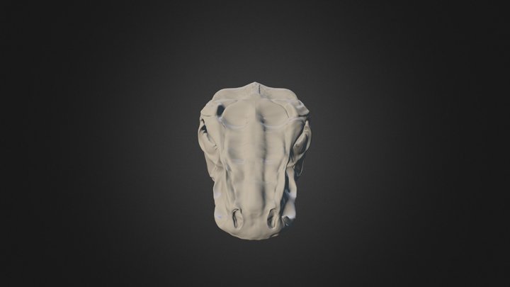 skull 3D Model