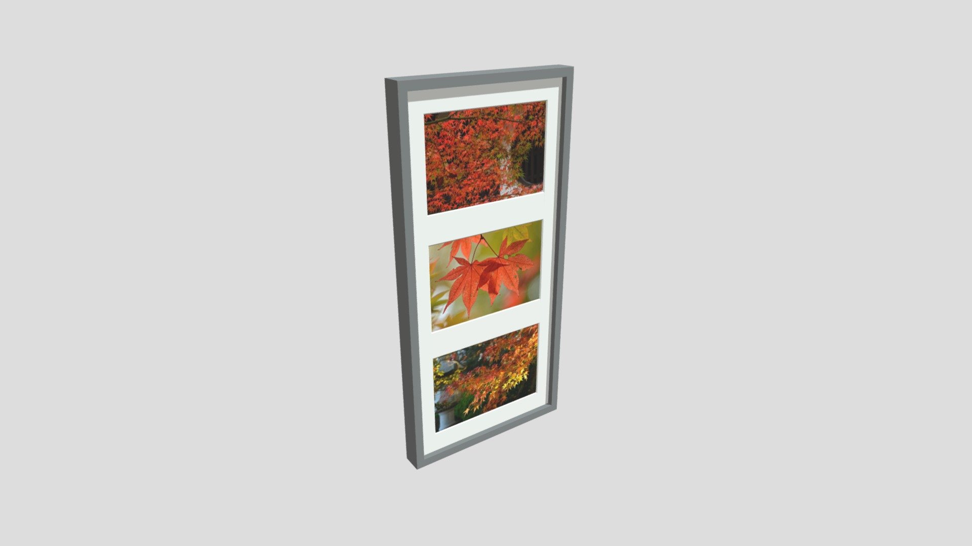 Frame momiji photos
