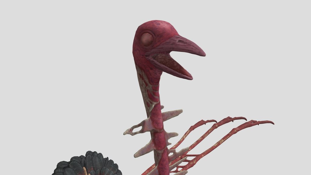 Infected Ostrich
