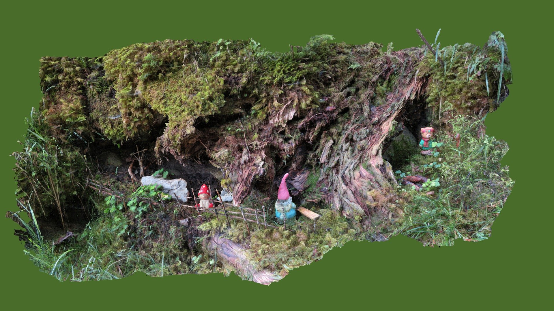 Gnomes