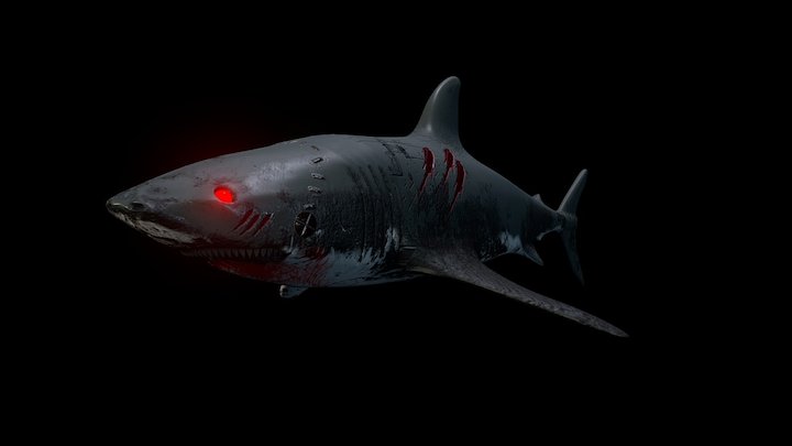 Shark 3D Model