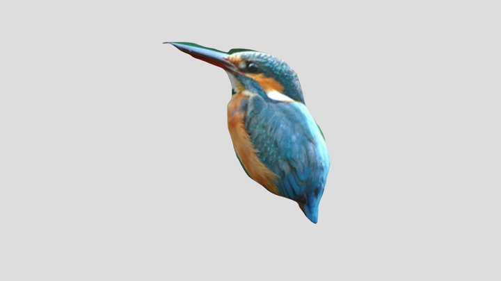Mm Project 3D Model