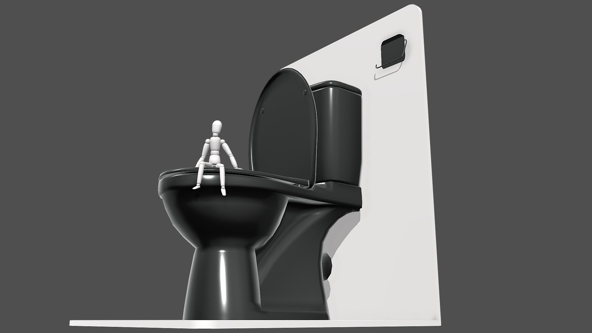 toilet TOLKAN