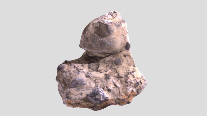 Sample17 3D Model