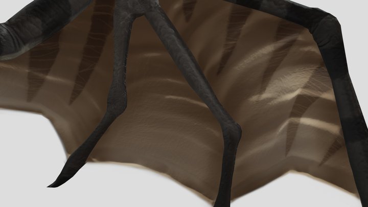 Crocigator (1) 3D Model