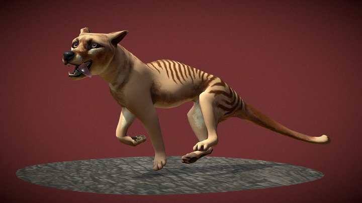 Tiger 3D models - Sketchfab