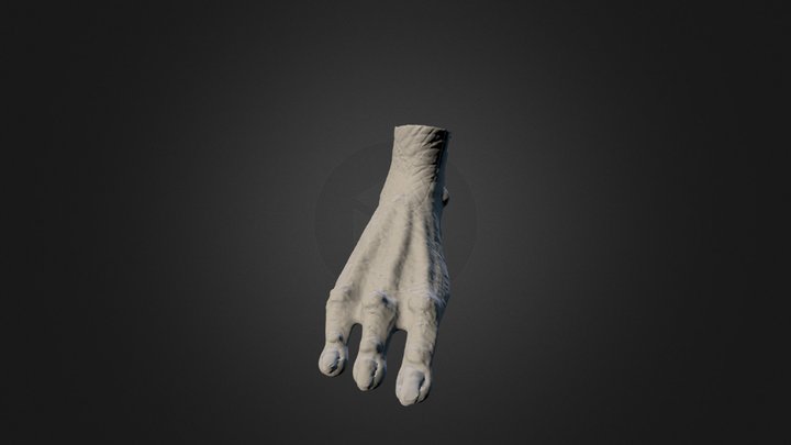 Nickz Human Male Averagefoot 3D Model