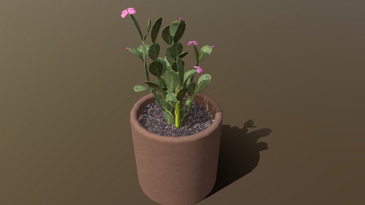 christmas cactus 3D Model