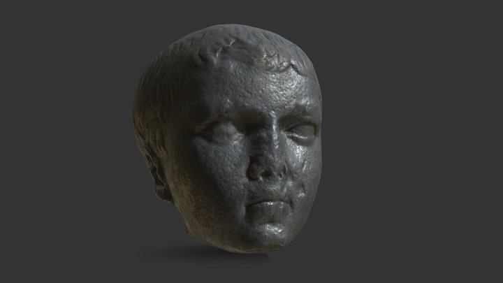 Little Prince - Silver_04 - Ancient Bust 3D Model