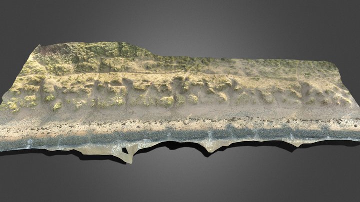 Beach 3D Model