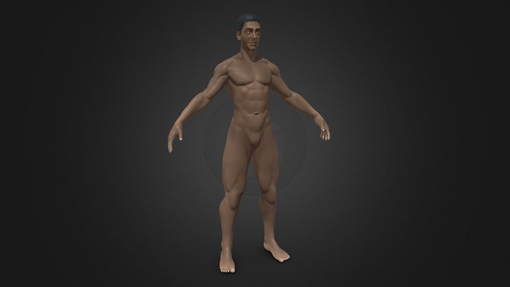 Lean Body | Slim Fit Male Anatomy Character 3D Model