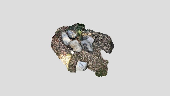 Mystery Rock With Address 3D Model