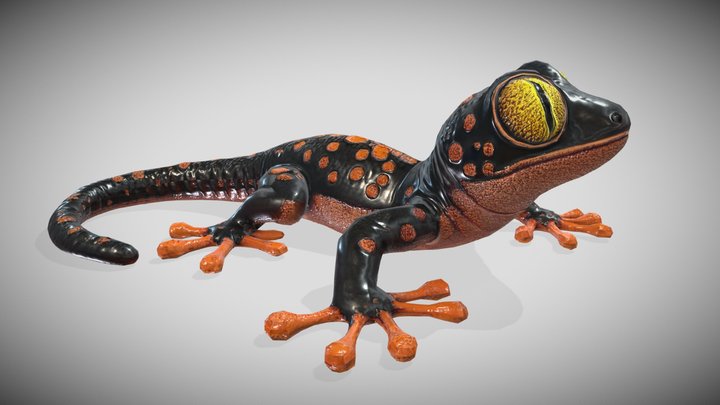Gekco – Kostenloses 3D-Modell STL