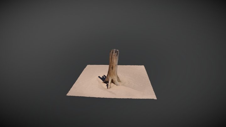 Stump3 3D Model