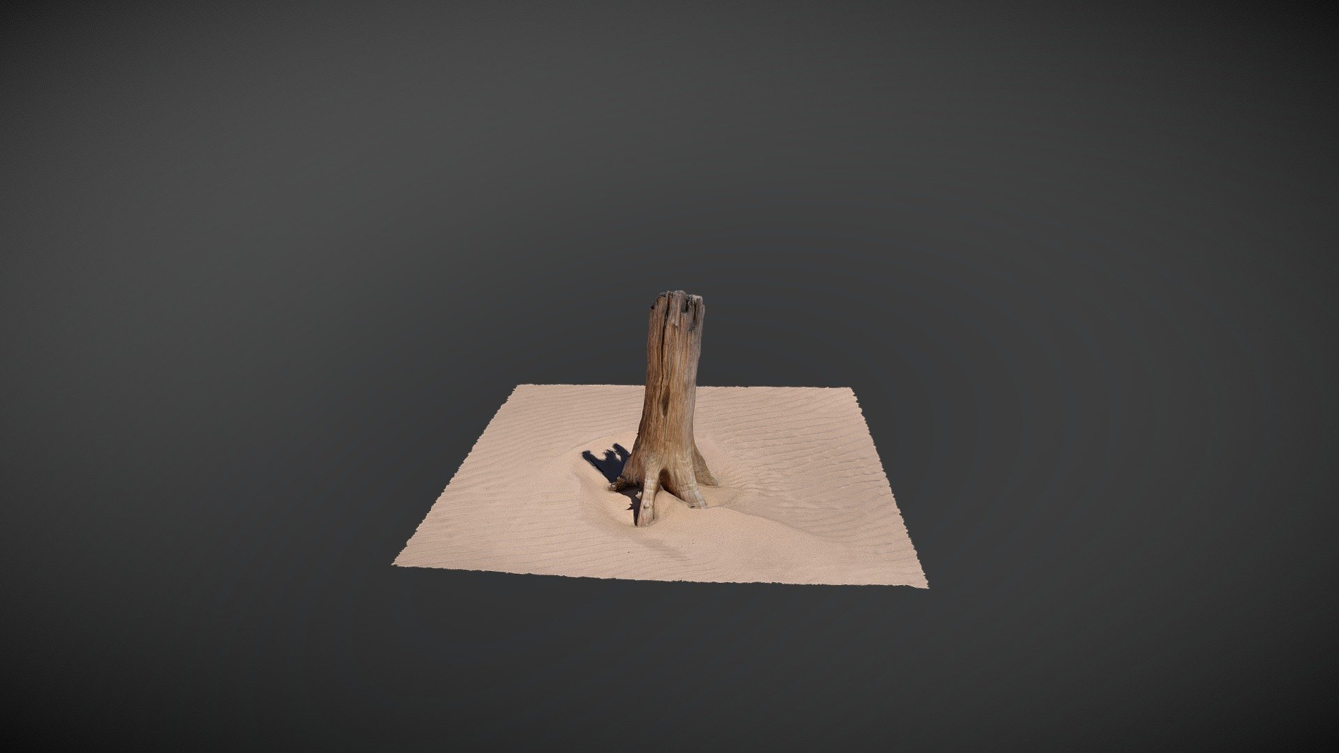Stump3