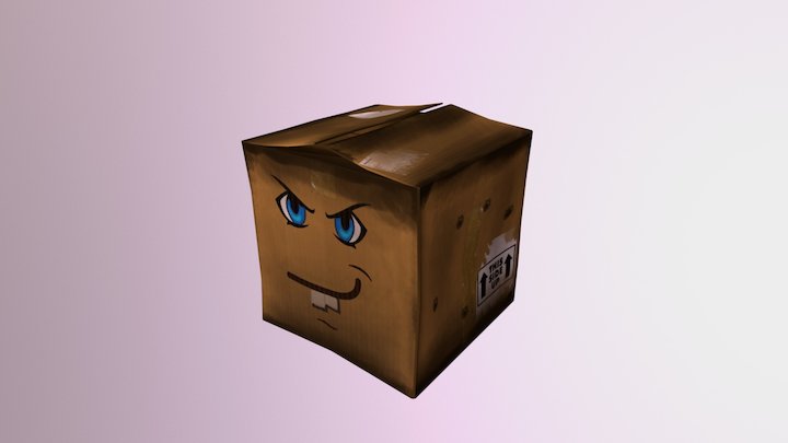 Maxx The Box 3D Model