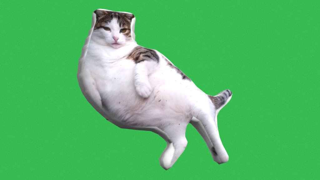 tombili